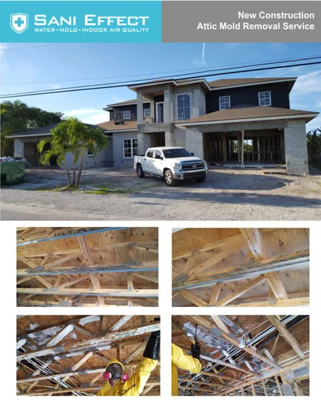 Attic Mold Removal Service - Sani Effect Commercial Project
