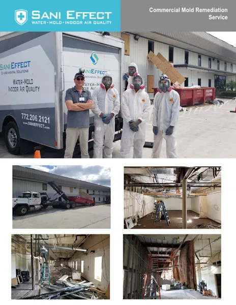 Commercial Mold Remediation Service - Sani Effect Commercial Project