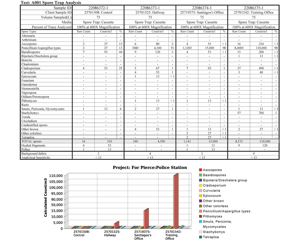 Real Mold Laboratory Analysis Report