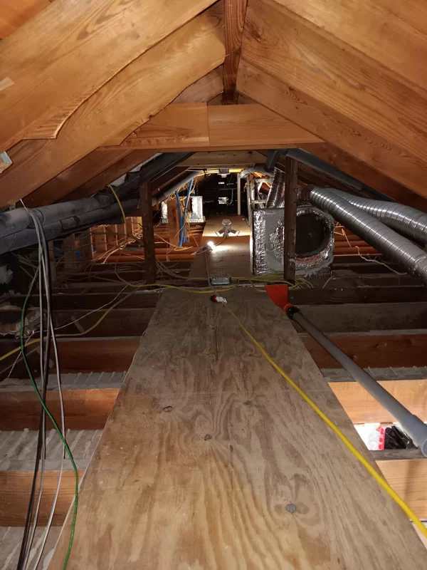 Sani Effect Professional Mold Remediation Project Finding