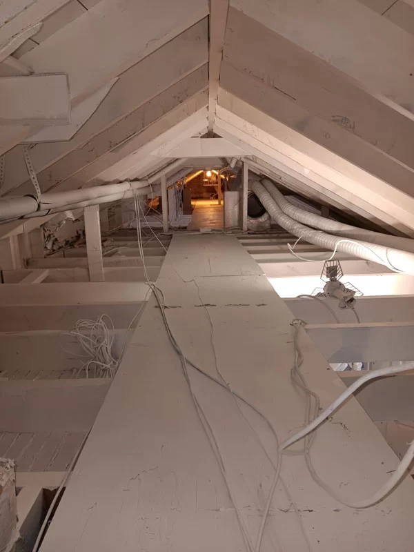 Sani Effect Professional Mold Remediation Project Finding