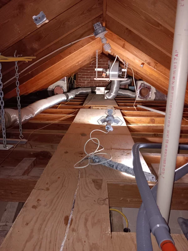Sani Effect Professional Mold Remediation Project Finding