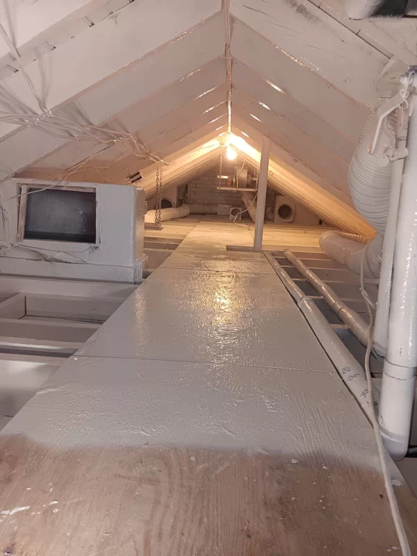 Sani Effect Professional Mold Remediation Project Finding