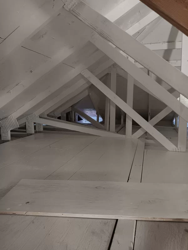 Sani Effect Professional Mold Remediation Project Finding