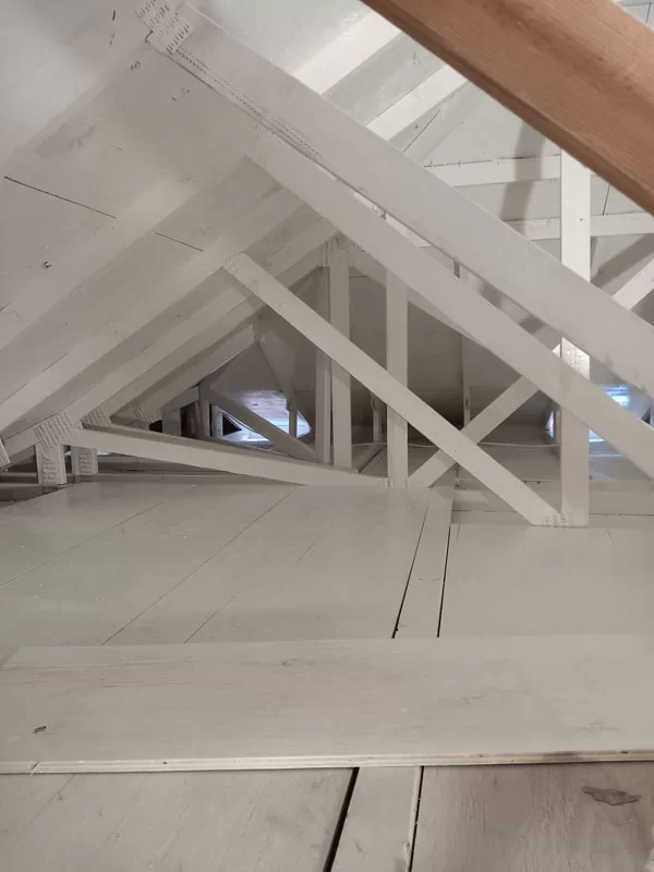Sani Effect Professional Mold Remediation Project Finding