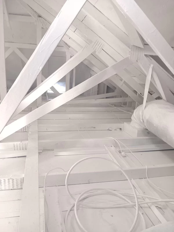 Sani Effect Professional Mold Remediation Project Finding