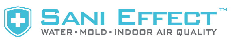 Sani Effect Logo